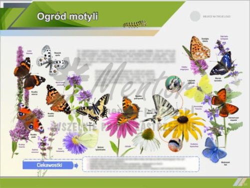 Ogród motyli