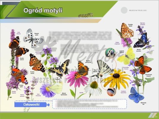 Ogród motyli