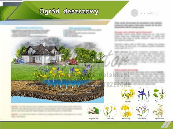 Ogród deszczowy.jpg