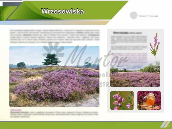 Wrzosowiska