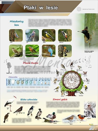 Ptaki w lesie (pion)  te2-55.jpg