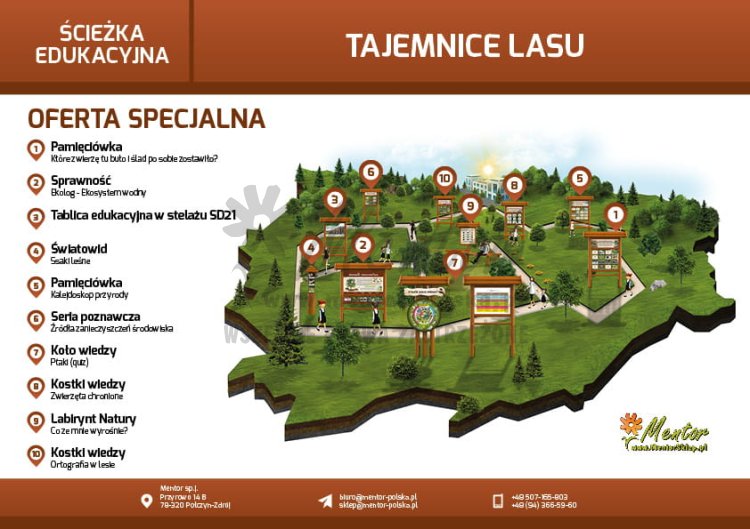 Ścieżka edukacyjna - tajemnice lasu