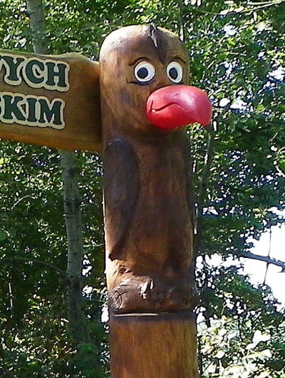 B003_2.jpg