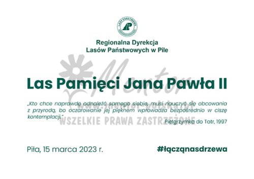 Przykładowa szata graficzna.jpg
