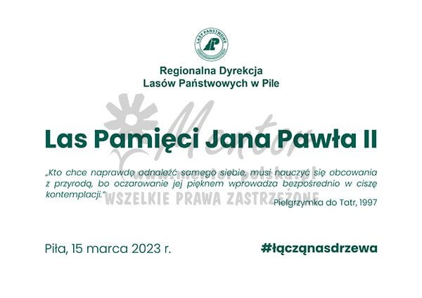 Przykładowa szata graficzna.jpg