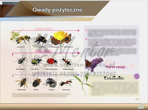 10. Owady pożyteczne.jpg