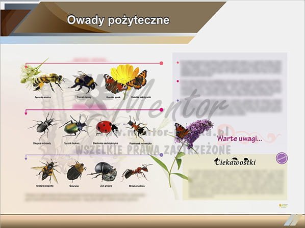 10. Owady pożyteczne.jpg