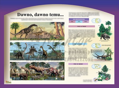 Tablica edukacyjna - Dinozaury.jpg