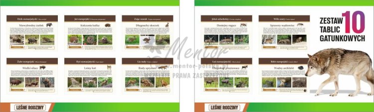 Gatunkowe - LEŚNE RODZINY - Wizualizacje.jpg