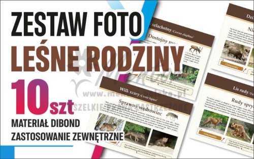 LEŚNE RODZINY - dibond.jpg