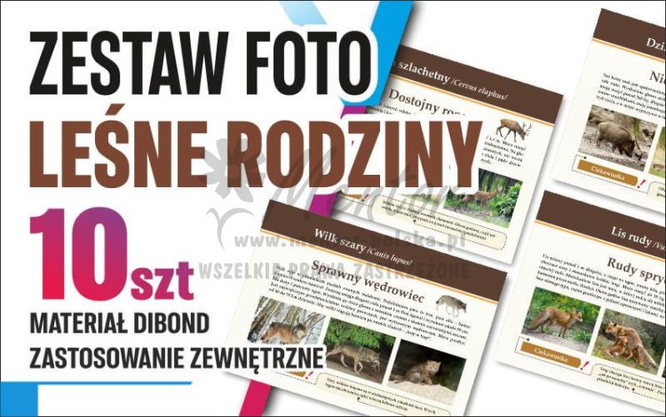 LEŚNE RODZINY - dibond.jpg