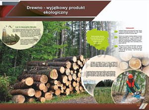 TE8-01 - Drewno - wyjątkowy produkt ekologiczny-1.jpg