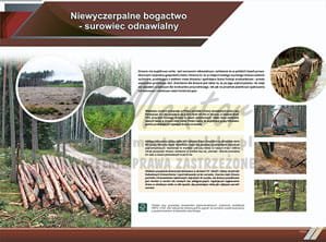 TE8-04 - Niewyczerpalne bogactwo - surowiec odnawialny