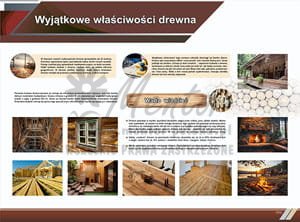 TE8-06 - Wyjątkowe właściwości drewna