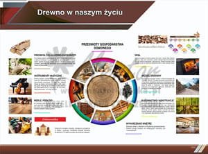 TE8-10 - Drewno w naszym życiu-1.jpg
