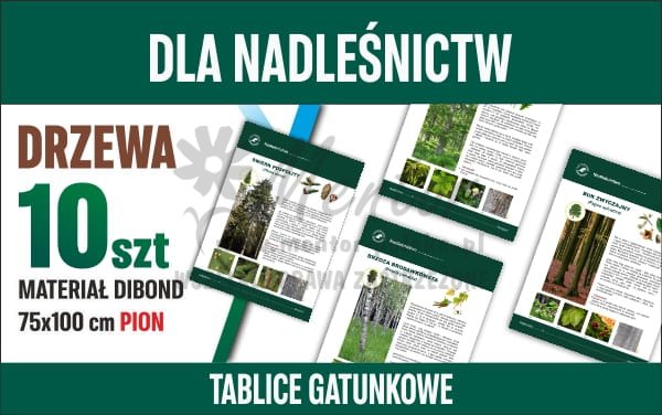 Tablice gatunkowe dla nadleśnictw - Drzewa pion.jpg