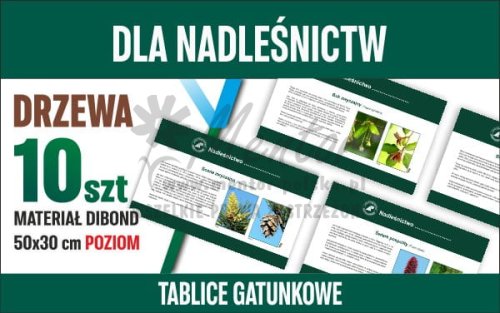 Tablice gatunkowe dla nadleśnictw - Drzewa MAŁE POZIOM - główna.jpg