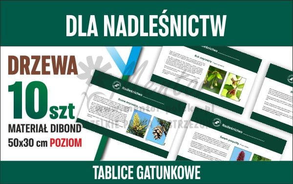 Tablice gatunkowe dla nadleśnictw - Drzewa MAŁE POZIOM - główna.jpg