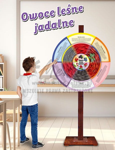 Koła wiedzy - Owoce leśne jadalne - sklep.jpg