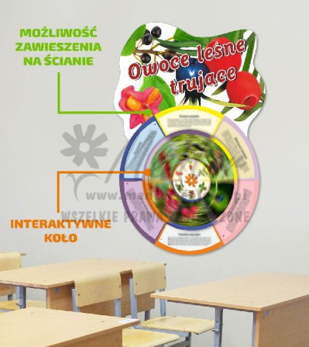 Koło wiedzy - Owoce lesne trujace