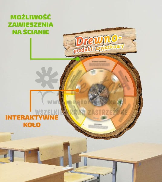Koło wiedzy - drewno produkt wyjatkowy