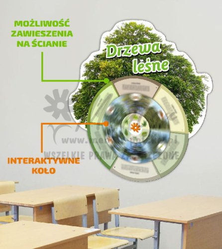 Koło wiedzy - _Drzewa lesne.jpg