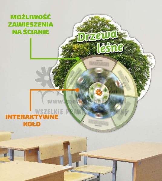 Koło wiedzy - _Drzewa lesne.jpg
