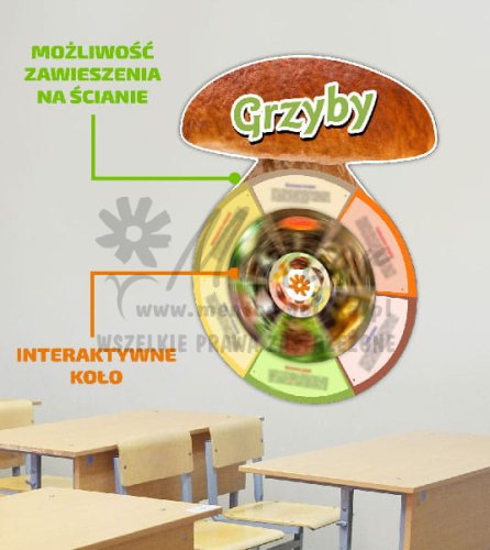 Koło wiedzy - _Grzyby.jpg