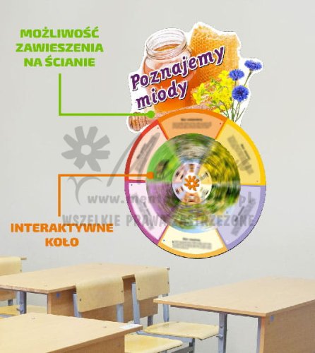 Koło wiedzy - _poznajemy miody.jpg