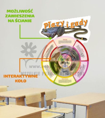 Koło wiedzy - _PLAZY I GADY.jpg