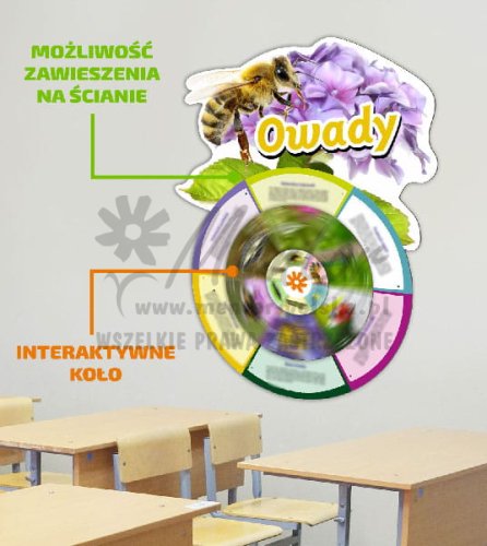 Koło wiedzy - Owady