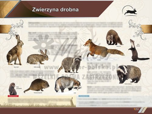 TE2-66 Zwierzyna drobna