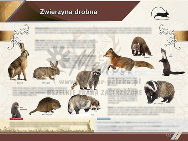 TE2-66 Zwierzyna drobna