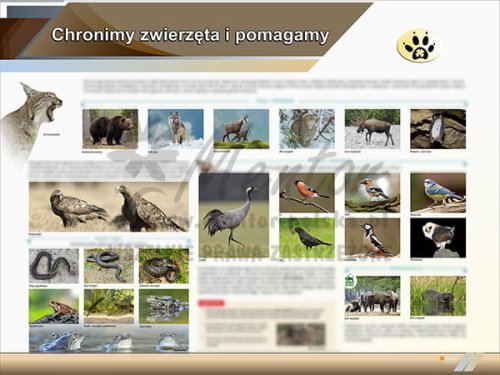 TE2-68 Chronimy zwierzęta i pomagamy-1.jpg