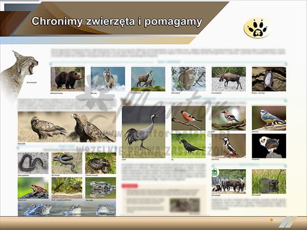 TE2-68 Chronimy zwierzęta i pomagamy-1.jpg