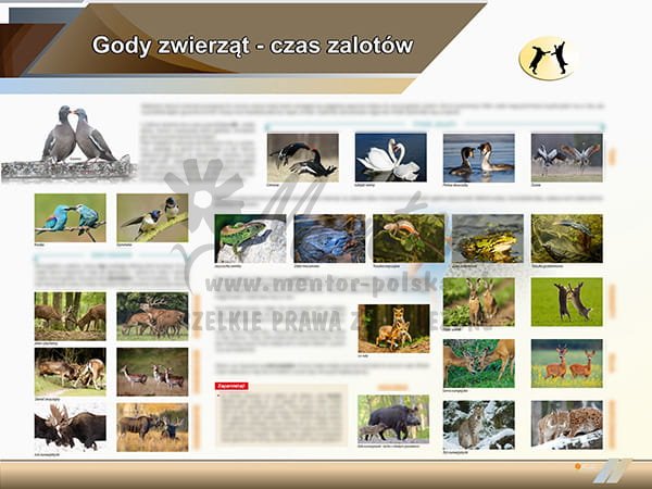 TE2-69 Gody zwierząt-1.jpg