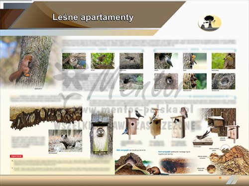 TE2-71 Leśne apartamenty-1.jpg