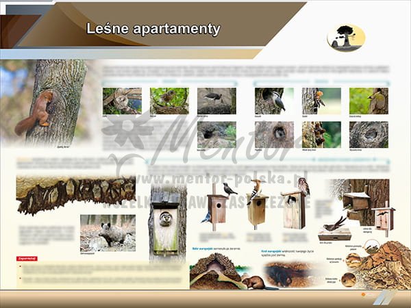 TE2-71 Leśne apartamenty-1.jpg