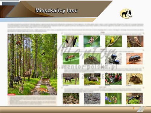 TE2-72 Mieszkańcy lasu