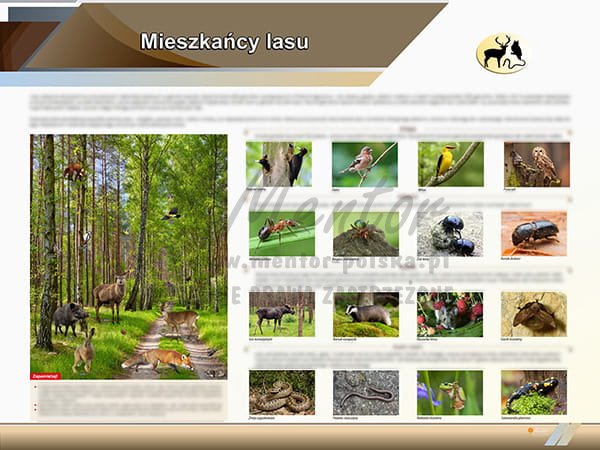 TE2-72 Mieszkańcy lasu