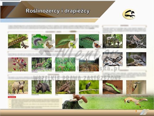 TE2-73 Roślinożercy i drapieżcy.jpg