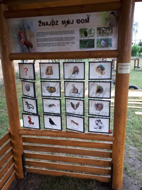 Wiata edukacyjna z grami - Pamięciówka.jpg