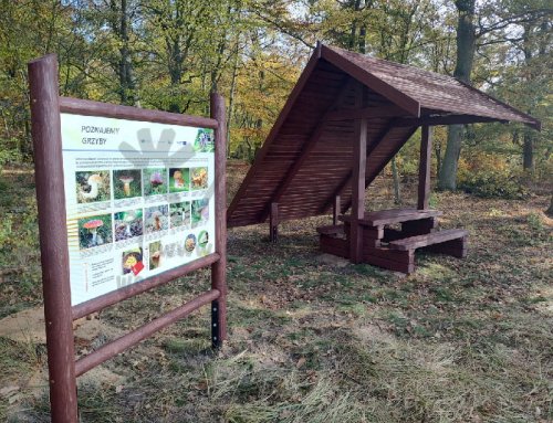 Wiata i stelaż SD11 kopia.jpg