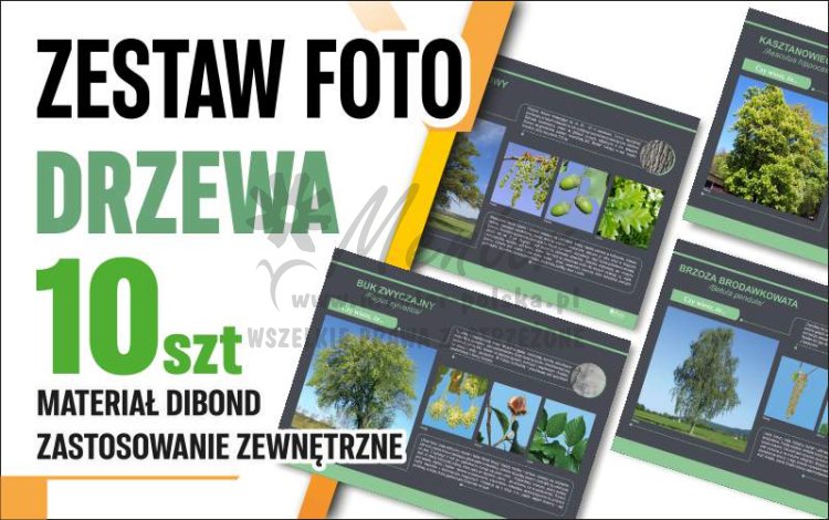 Drzewa 10 szt główna.jpg