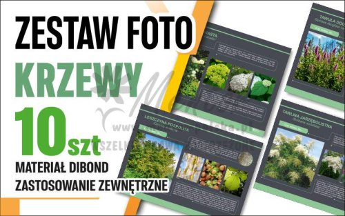 Krzewy 10 szt główna.jpg