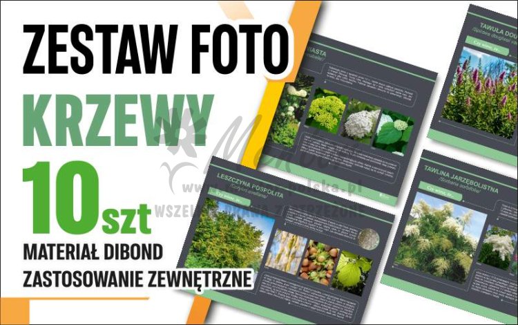 Krzewy 10 szt główna.jpg