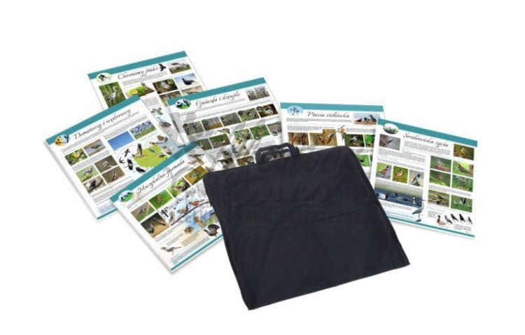 6 tablic edukacyjny tematyka ptaki