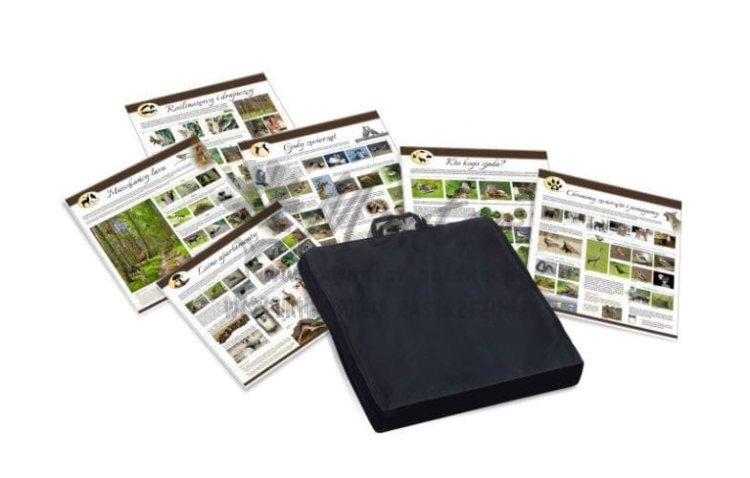 6 tablic edukacyjny tematyka świat leśnych zwierząt