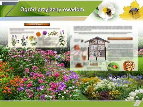 TE9-01 Ogród przyjazny owadom.jpg