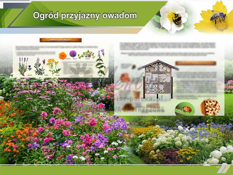 TE9-01 Ogród przyjazny owadom.jpg